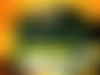 캄팔라-먹튀확정 pl-4.com 먹튀사이트 - [슬롯사이트주소.com]