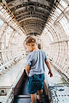 st louis city museum