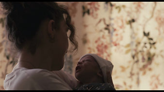 Shorts Program Seven