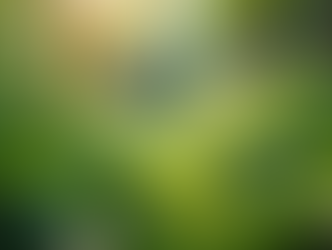 The Importance of Sustainable Living in Today's World