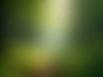 The Importance of Sustainable Living in Today's World