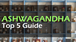 The top 5 Ashwagandha supplements on the market today
