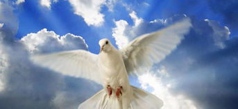 Funeral Announcement of Nathaniel Richard Hayes Sr. (Age 54)