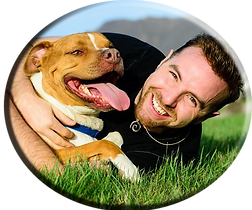 responsible-pet-owners-month.png