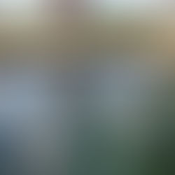 תל גזר ועין ורד