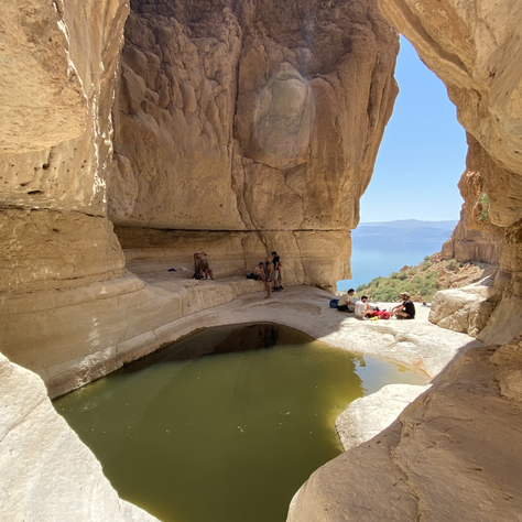 שמורת עין גדי