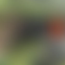 בריכת המשושים