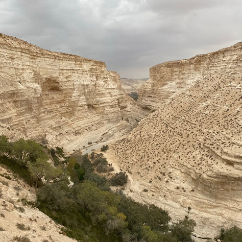 זורמים? צייד שטפונות