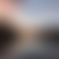 Hybrid Shacharit in the Park