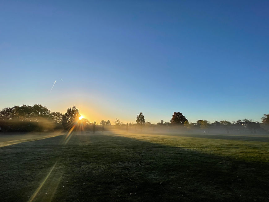 sunrise over a park