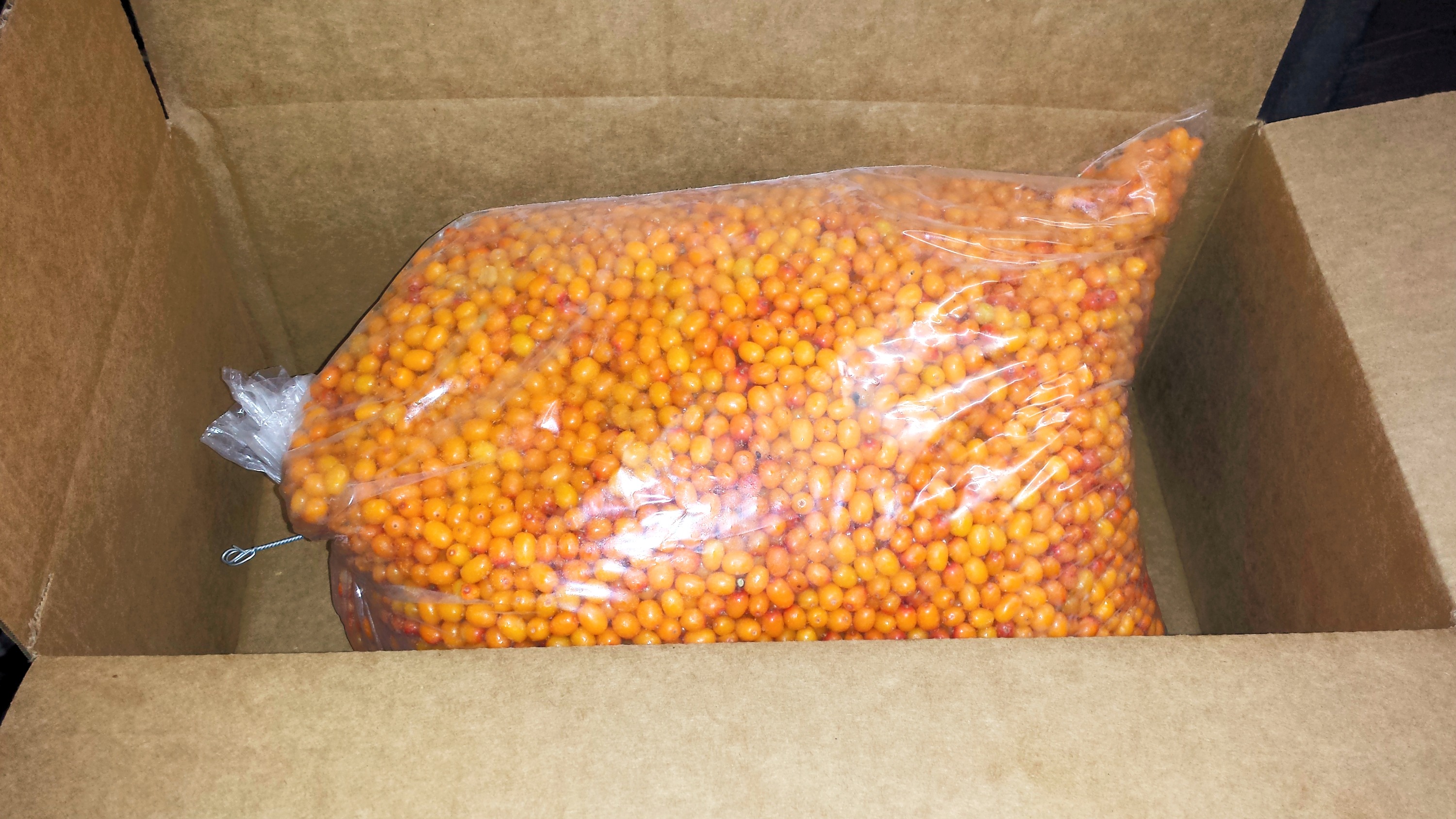 Baies d'argousiers biologiques surgelés en vrac 12kg