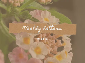 Weekly letters - #15&16