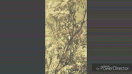 untitled image
