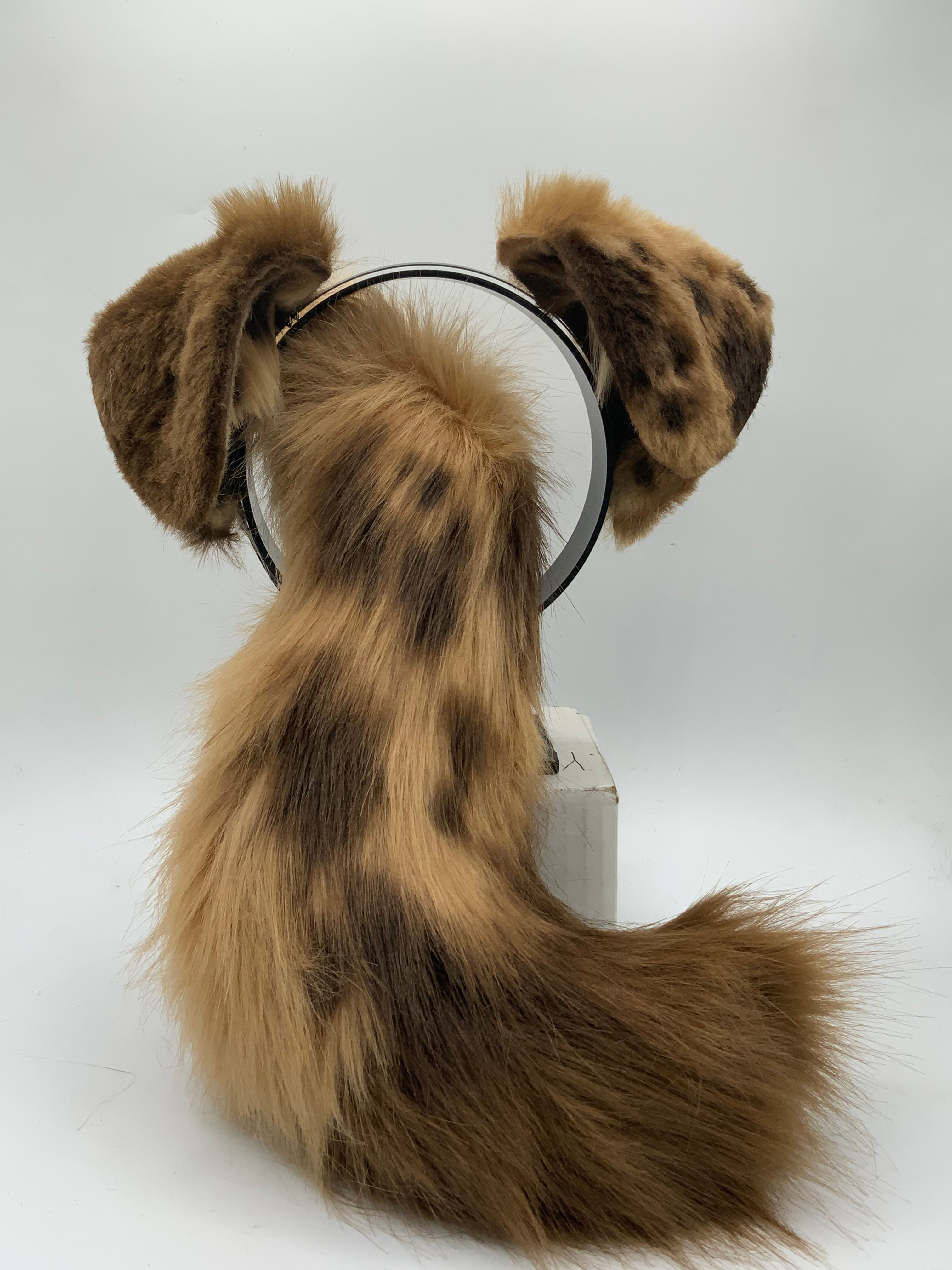 Light and dark brown puppy set (large ears)