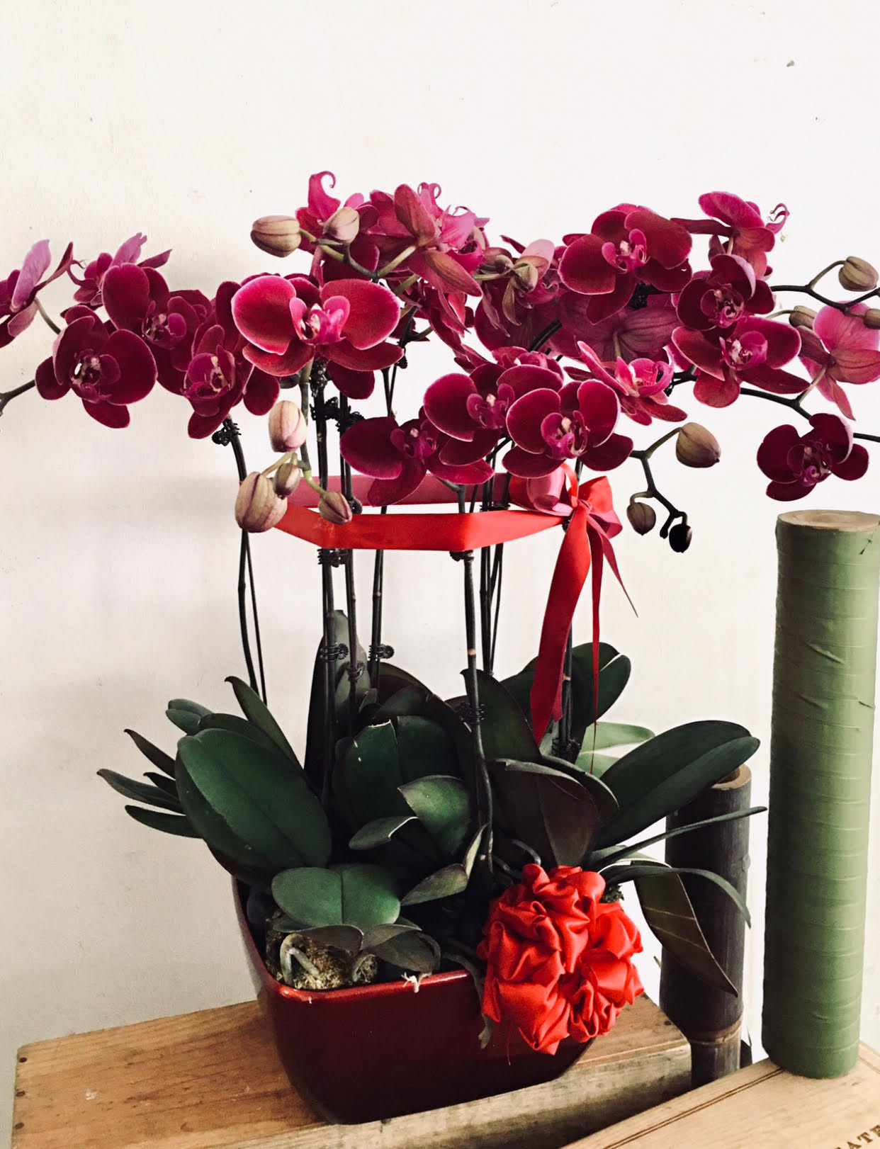 CNY (OA) 004-001