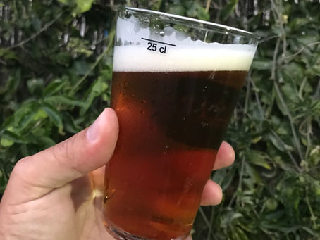 In Focus: Portugal’s Craft Beer Scene