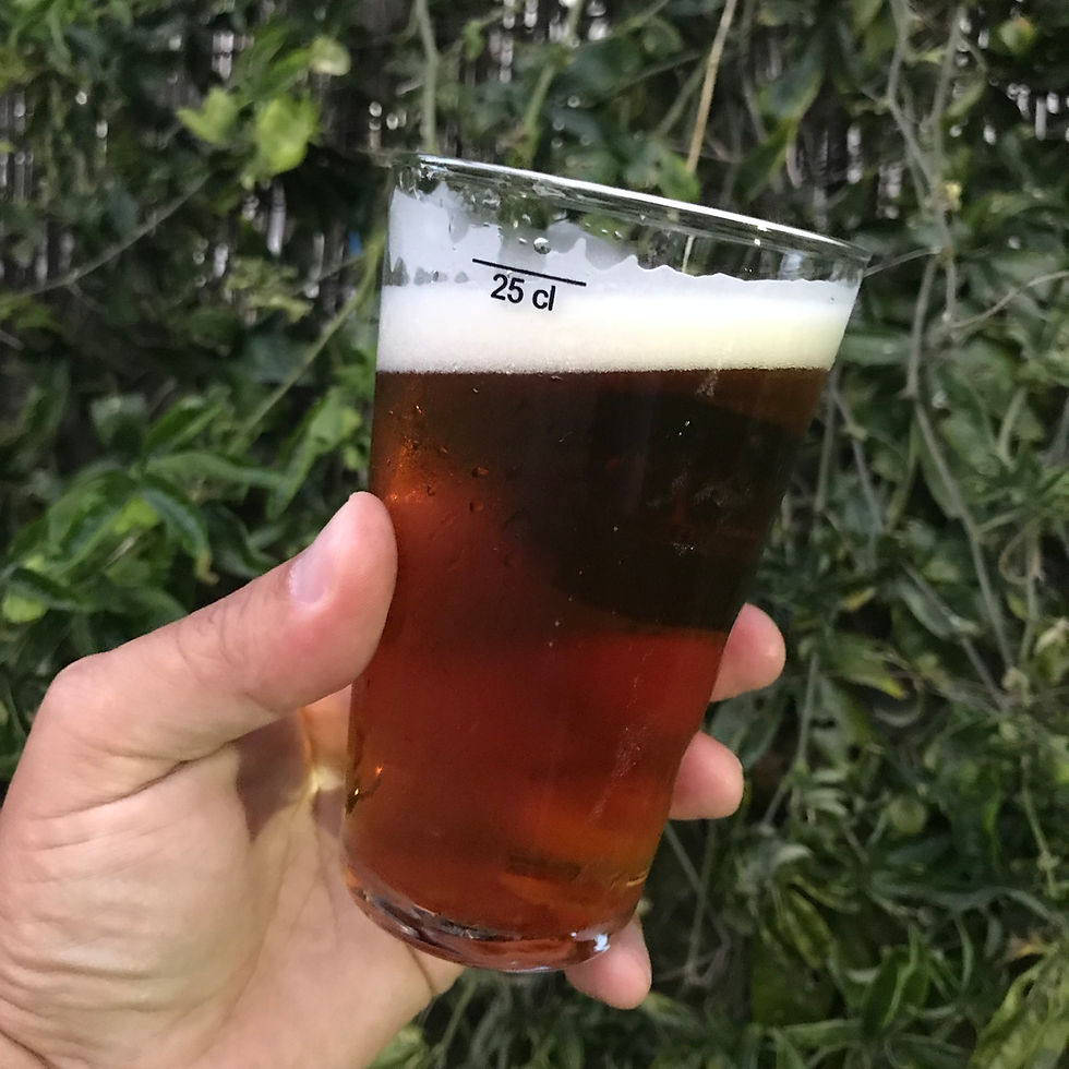 In Focus: Portugal’s Craft Beer Scene