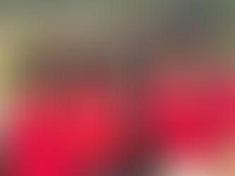 Elas do Agro: o protagonismo feminino que transforma o campo brasileiro