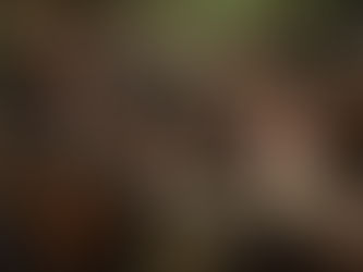 Single at Thanksgiving? 5 Tips