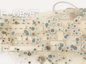 INDICE-OBJET
