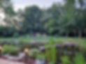 jardin plan d'eau.jpg
