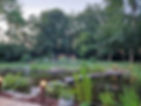 jardin plan d'eau.jpg