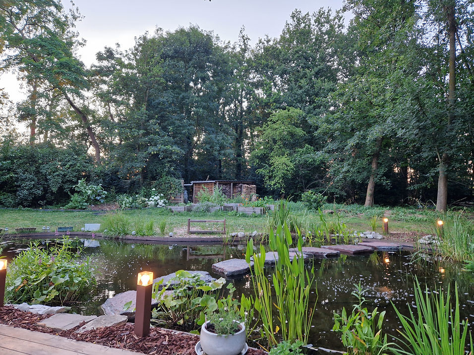 jardin plan d'eau.jpg