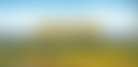 Discover the Charm of McLaren Vale Cabin Caravan Park: Your Perfect Getaway