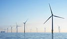 Ocean Wind Farms.png
