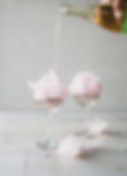 Cocktail Garnish