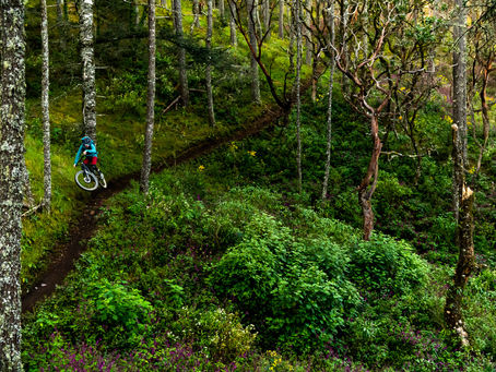 World Class Riding in Mexico!