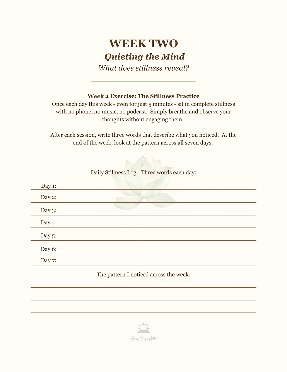 Thumbnail: Wild Luxe Clarity Workbook cover — a 4-week guided reflection workbook for executives, sage green with lotus motif
