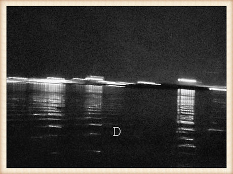 Miami B/W photo Pandemic Landscape