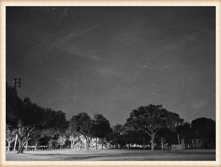 Miami B/W photo Pandemic Landscape