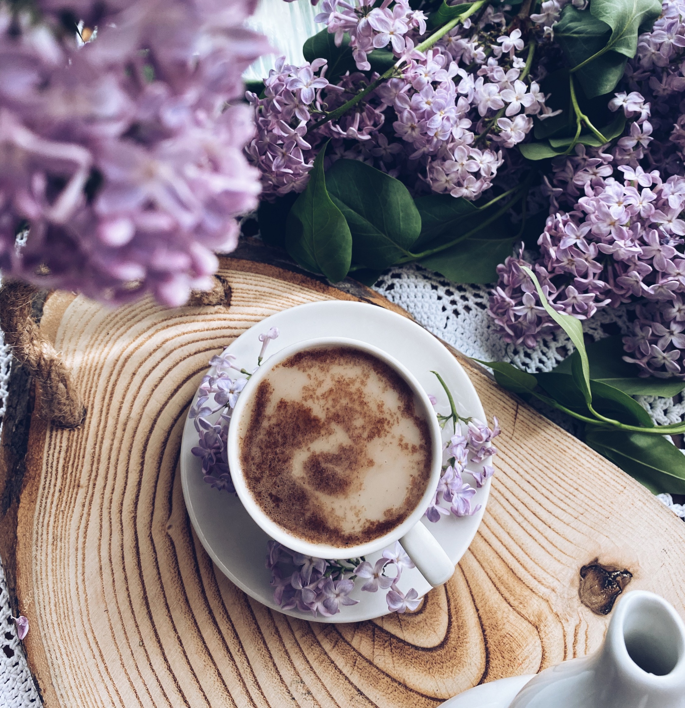Arranged Food and Objects