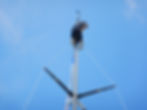 DSCN0688.JPG