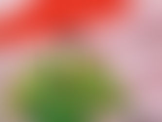 Українська ілюстраторка ввійшла до короткого списку Болонської виставки