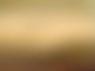 Google оцифрує понад 90 тисяч стародруків та викладе у вільний доступ