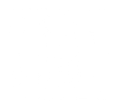 PARTY-BIZARRE-LOGO-white-.png