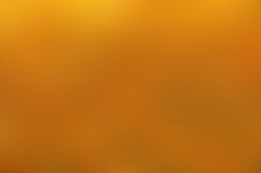 Why experts say you shouldn't bag your leaves this fall