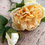 Thumbnail: Preserved Feel Peony Spray - Butter Yellow