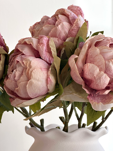Preserved Feel Peony in Dusky Pink | Fern & Wild