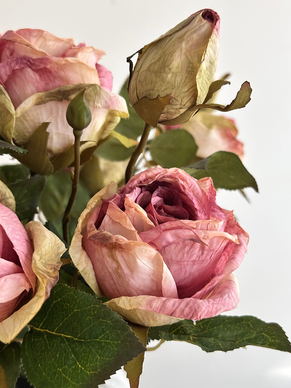 Thumbnail: Preserved Feel Rose Spray - Dusky Pink