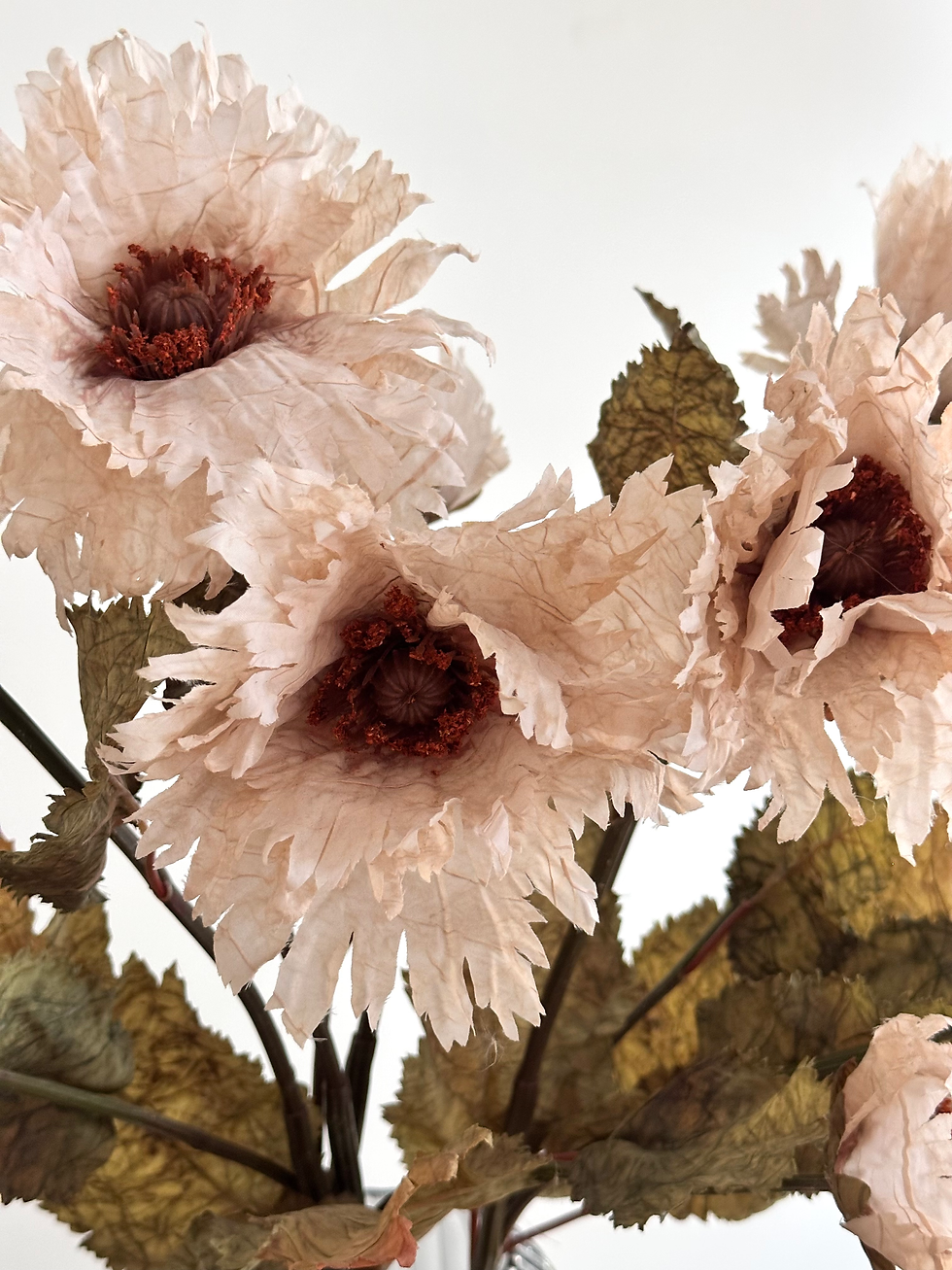 Thumbnail: Preserved Feel Poppy - Parchment