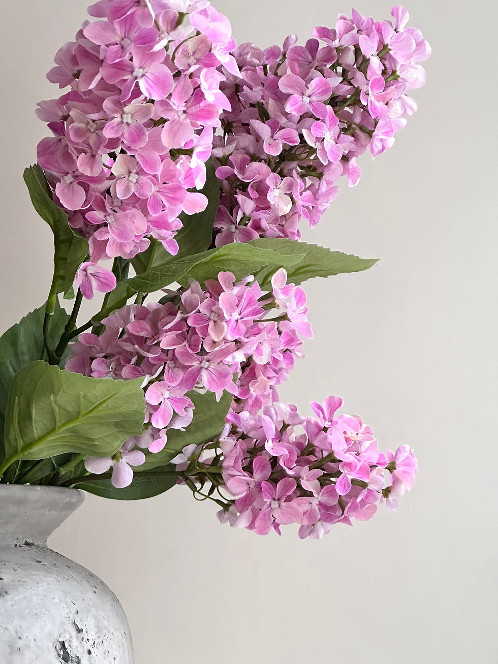 Thumbnail: Hydrangea Two Head - Pink