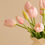 Thumbnail: Tulips in Light Pink