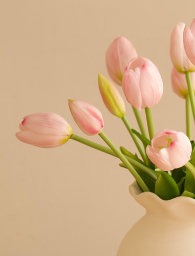 Tulips in Light Pink | Fern & Wild