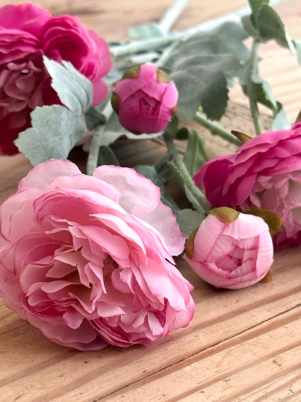 Thumbnail: Ranunculus Pink Mix