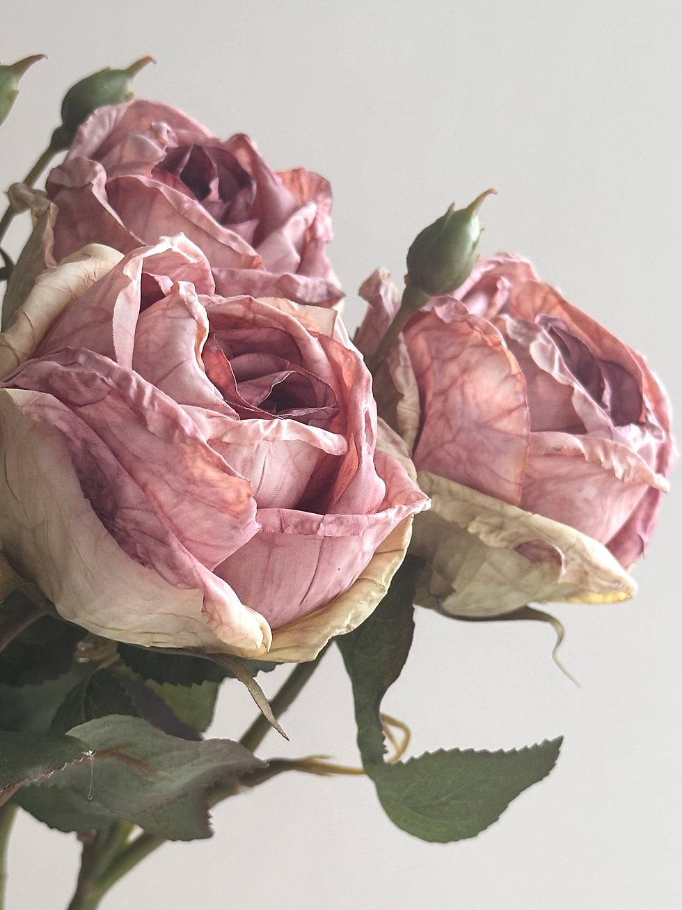 Thumbnail: Preserved Feel Rose  - Dusky Pink