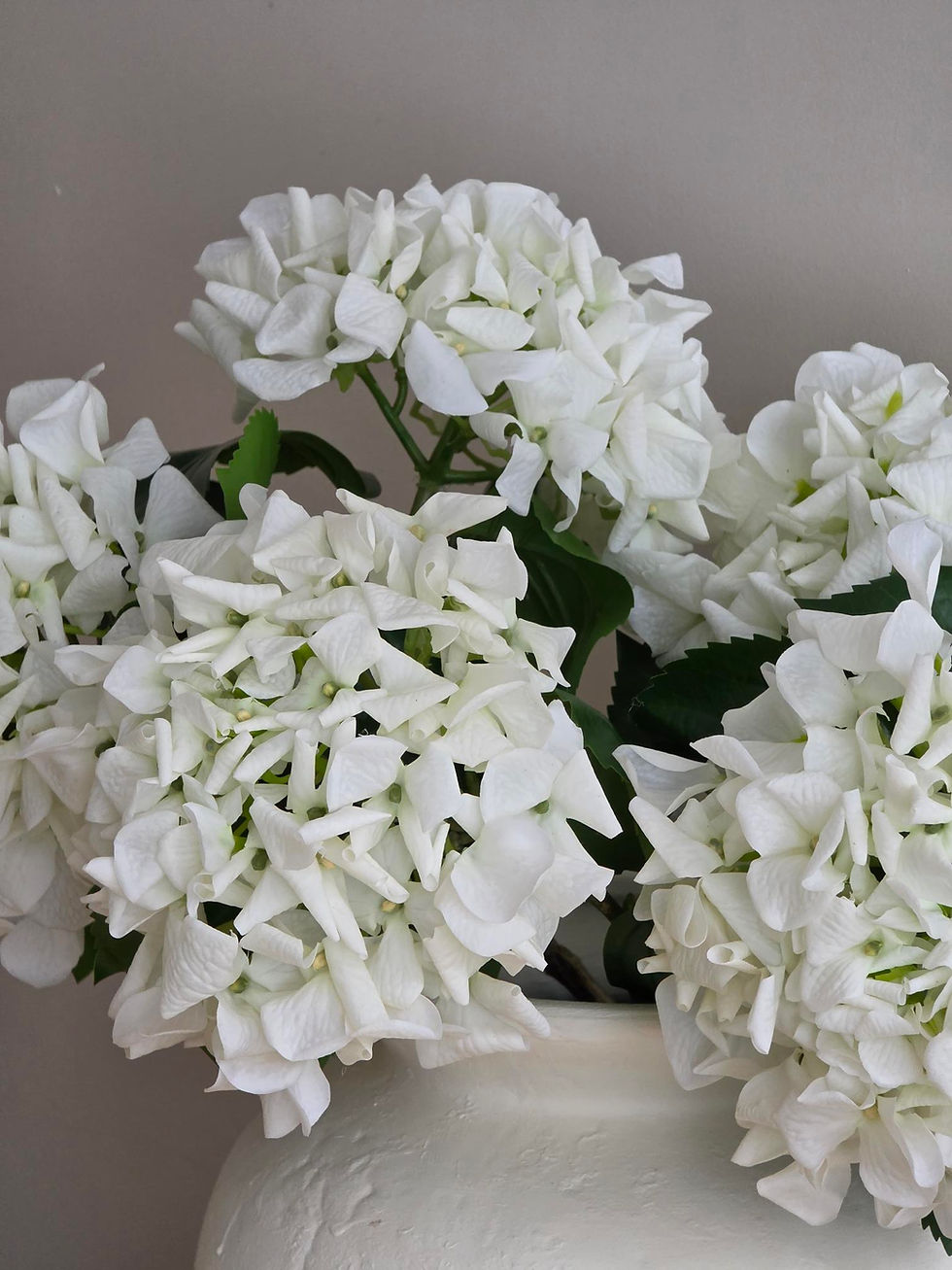 Thumbnail: The True to Touch Hydrangea in White